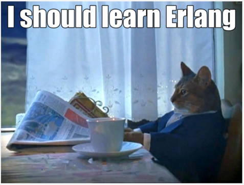 I should learn Erlang